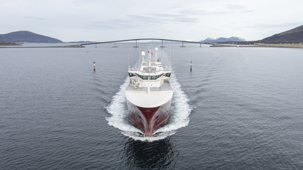 Marine Engineer